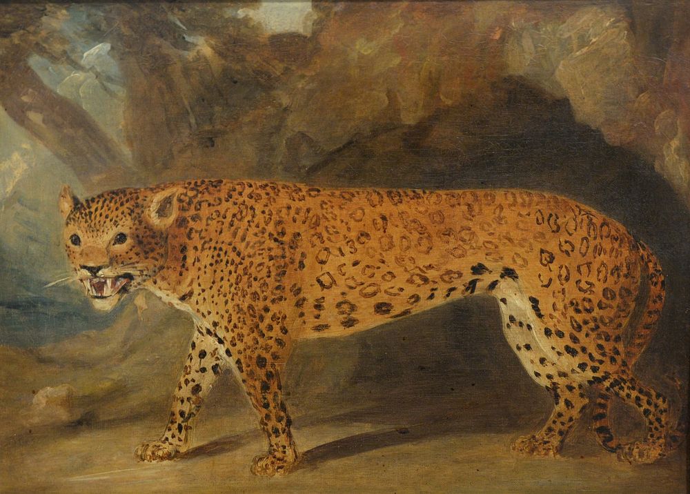 Appraisal: British School th Century Leopard in a Landscape oil on