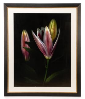 Appraisal: Barry Taratoot Untitled Lily Photograph Barry Taratoot American active Georgia