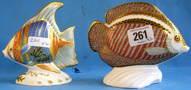 Appraisal: Royal Crown Derby Paperweights Pacific Angel Fish with certificate and