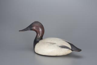 Appraisal: The McCleery Ward Canvasback Drake The Ward Brothers The McCleery