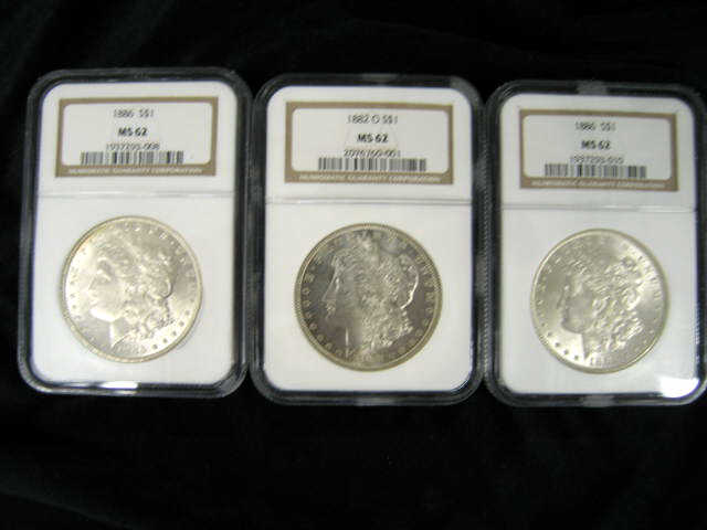 Appraisal: Uncirculated Morgan Silver Dollars - and -P all mint state