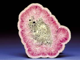 Appraisal: RHODOCHROSITE SLICE Catamarca Province Argentina A large slice displaying concentric