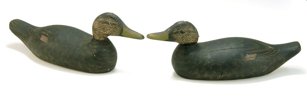 Appraisal: TWO FACTORY BLACK DUCK DECOYS Repainted and reworked by A