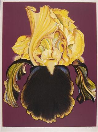 Appraisal: LOWELL NESBITT - UNTITLED YELLOW IRIS Lithograph x in P