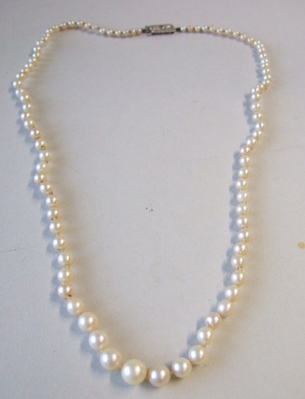 Appraisal: A single row necklace of cultured pearls graduating in size