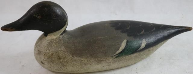 Appraisal: MASON STANDARD GRADE PINTAIL DRAKE EARLY THCENTURY GLASS EYES ORIGINAL