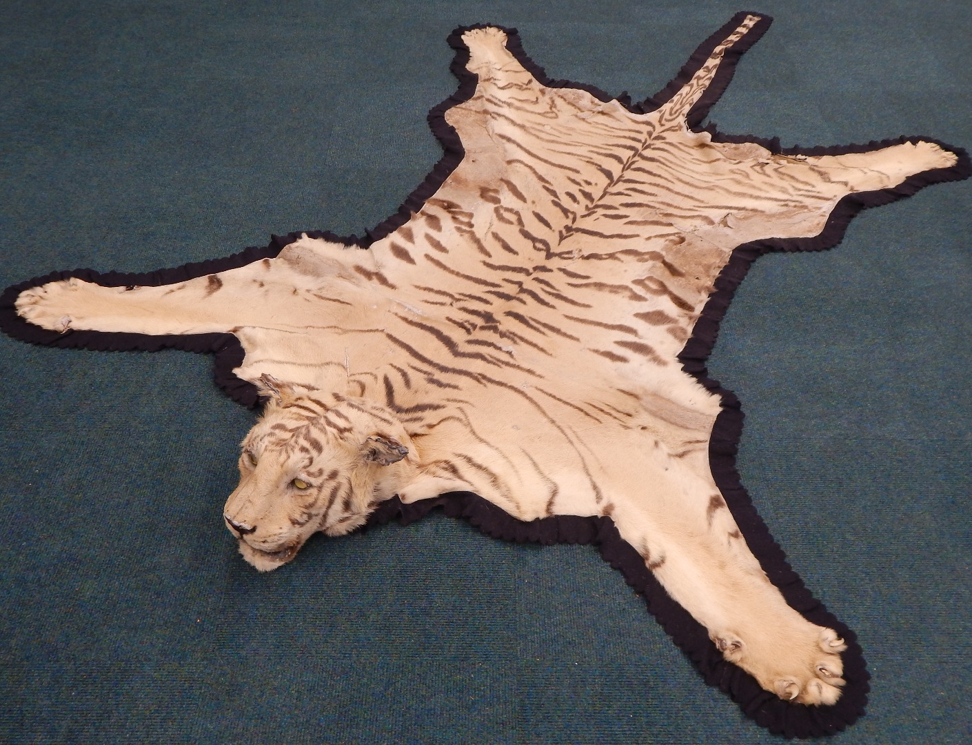 Appraisal: A Van Ingen tiger skin rug with head indistinct stencil