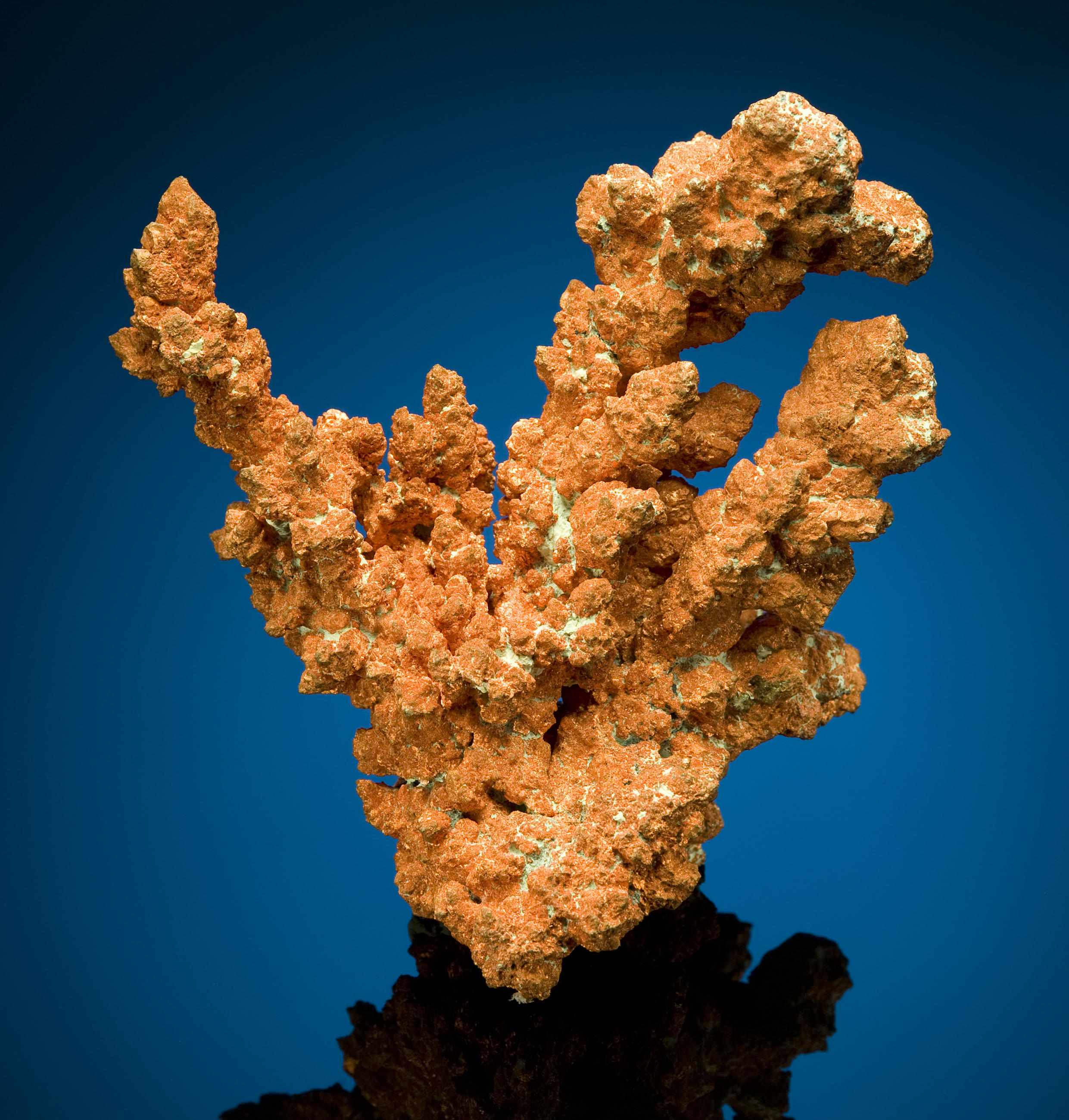 Appraisal: Without Reserve Native Copper Arizona A cabinet-sized specimen characterized by