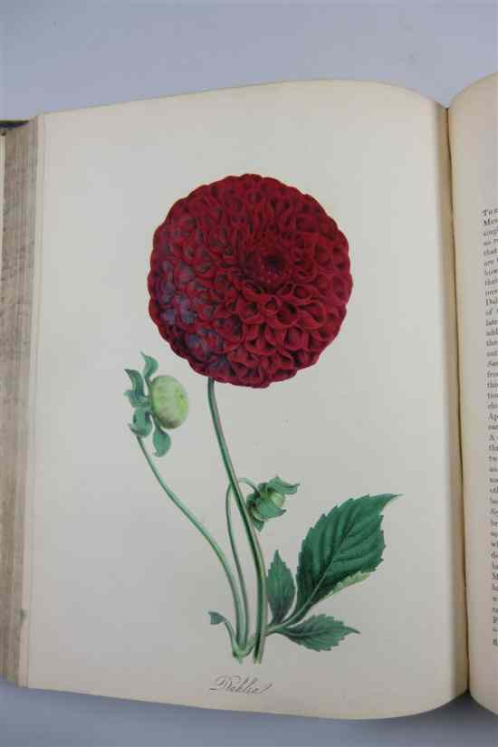 Appraisal: BURNETT M ILLUSTRATIONS OF USEFULL PLANTS with hand coloured litho