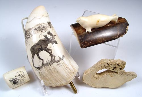 Appraisal: PIECE CARVED AND SCRIMSHAW IVORY COLLECTION To include Fossil walrus