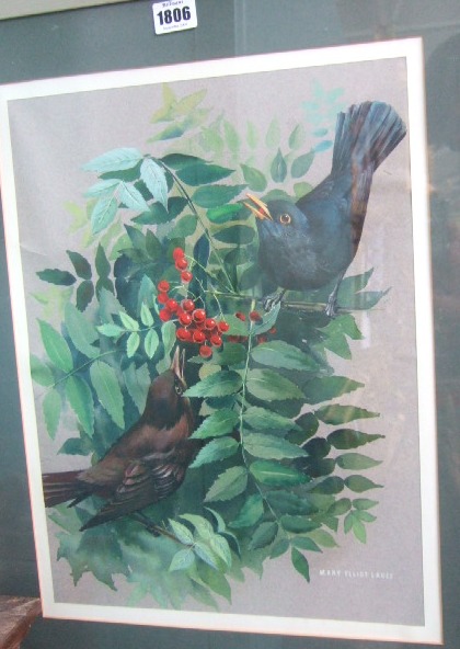 Appraisal: Mary Elliot Lacey th century Blackbird and thrush among foliage