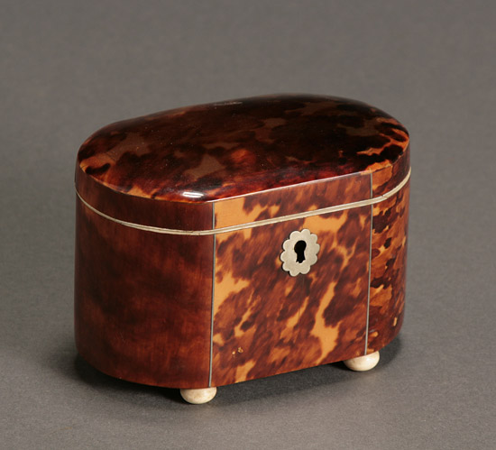 Appraisal: George III Tortoiseshell Tea Caddy Circa The oblong body with