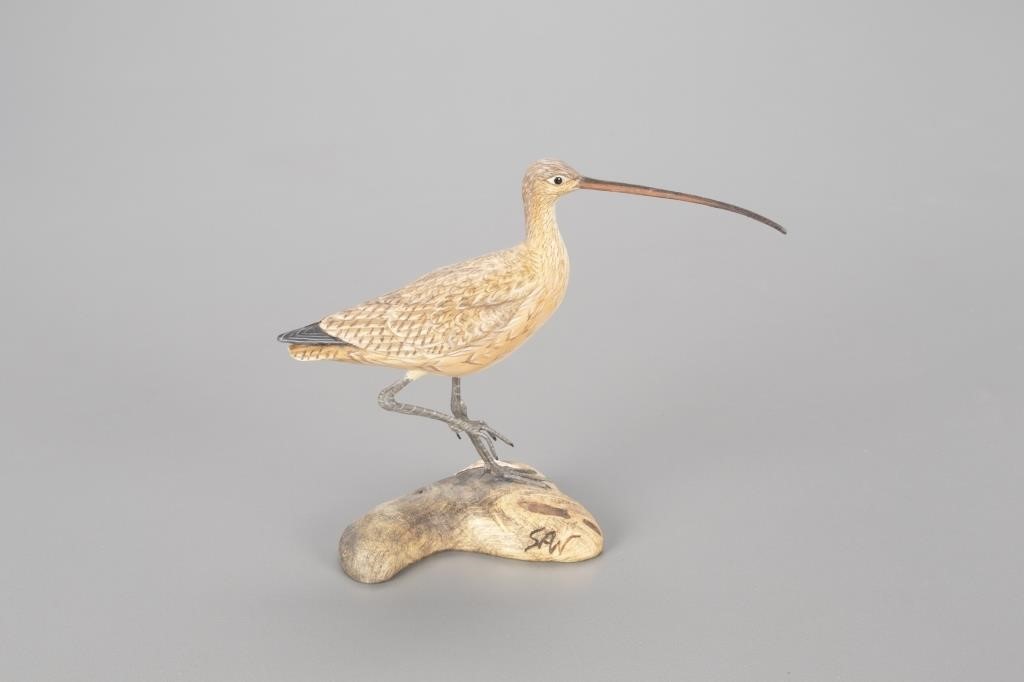 Appraisal: Steve Weaver b Sandwich MA in long A miniature curlew