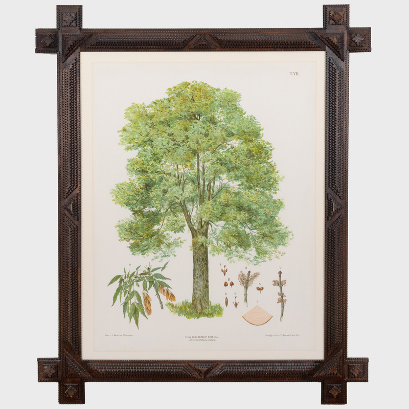 Appraisal: CARL GERHOLD SON PUBLISHER TREES THREE PLATES Three chromolithographs on