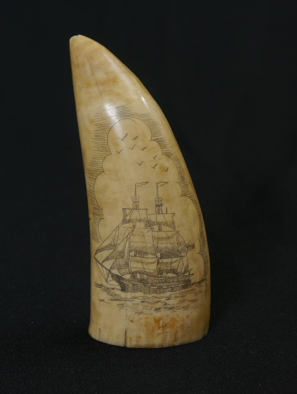 Appraisal: TH CENTURY SCRIMSHAW WHALES TOOTH One side depicting a whaling