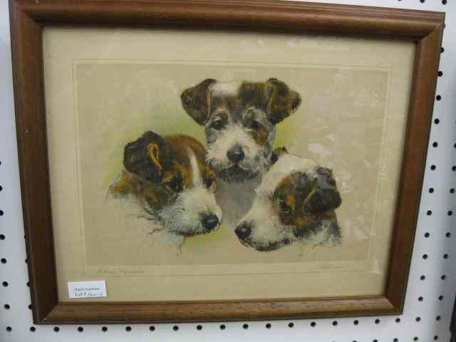 Appraisal: Kurt Meyer-Eberhard Print ''Three Rascals'' trio of terriers listed German