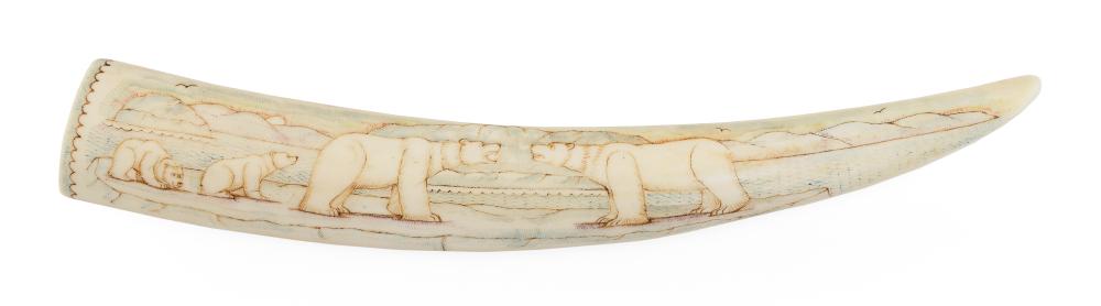 Appraisal: INUIT SCRIMSHAW ENGRAVED WALRUS TUSK DEPICTING POLAR BEARS AND WALRUS