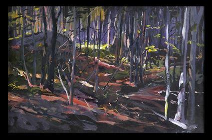 Appraisal: WILLIAM FRANKLIN DRAPER - MAINE WOODS Oil on paper x