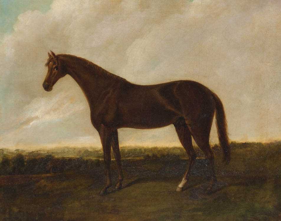 Appraisal: BRITISH SCHOOL OIL ON CANVAS thoroughbred horse Unsigned Image measures