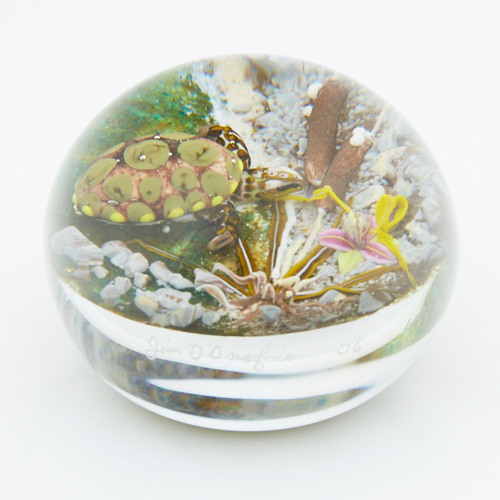 Appraisal: Jim D'Onofrio Glass Turtle Paperweight Jim D'Onofrio b Handmade glass