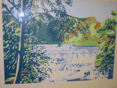 Appraisal: GILLIAN SHREEVE Aysgarth Falls signed with initials label verso x