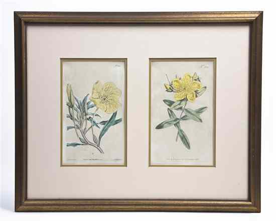 Appraisal: Two Pairs of Handcolored Botanical Engravings each depicting flowers matted