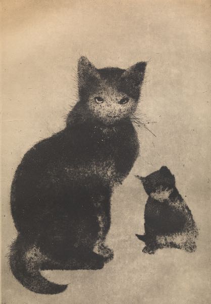 Appraisal: JUVENAL SANSO SPANISH B x sheet size Chat Etching and