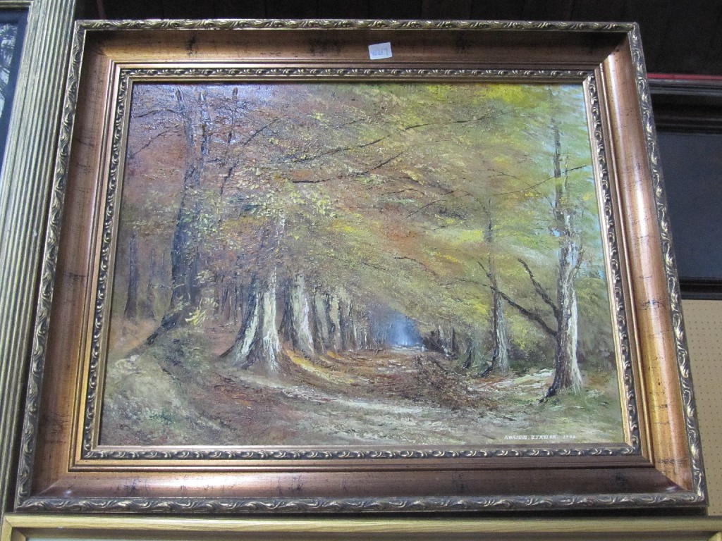 Appraisal: NORMAN D TAYLOR Oil on board 'Woodland Glade' signed and