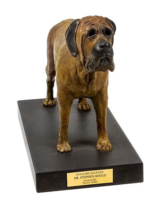 Appraisal: A Bronze English Mastiff Sculpture Height x width x depth