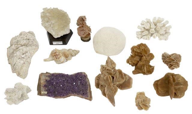 Appraisal: lot of Specimens including minerals seashells and coral some on