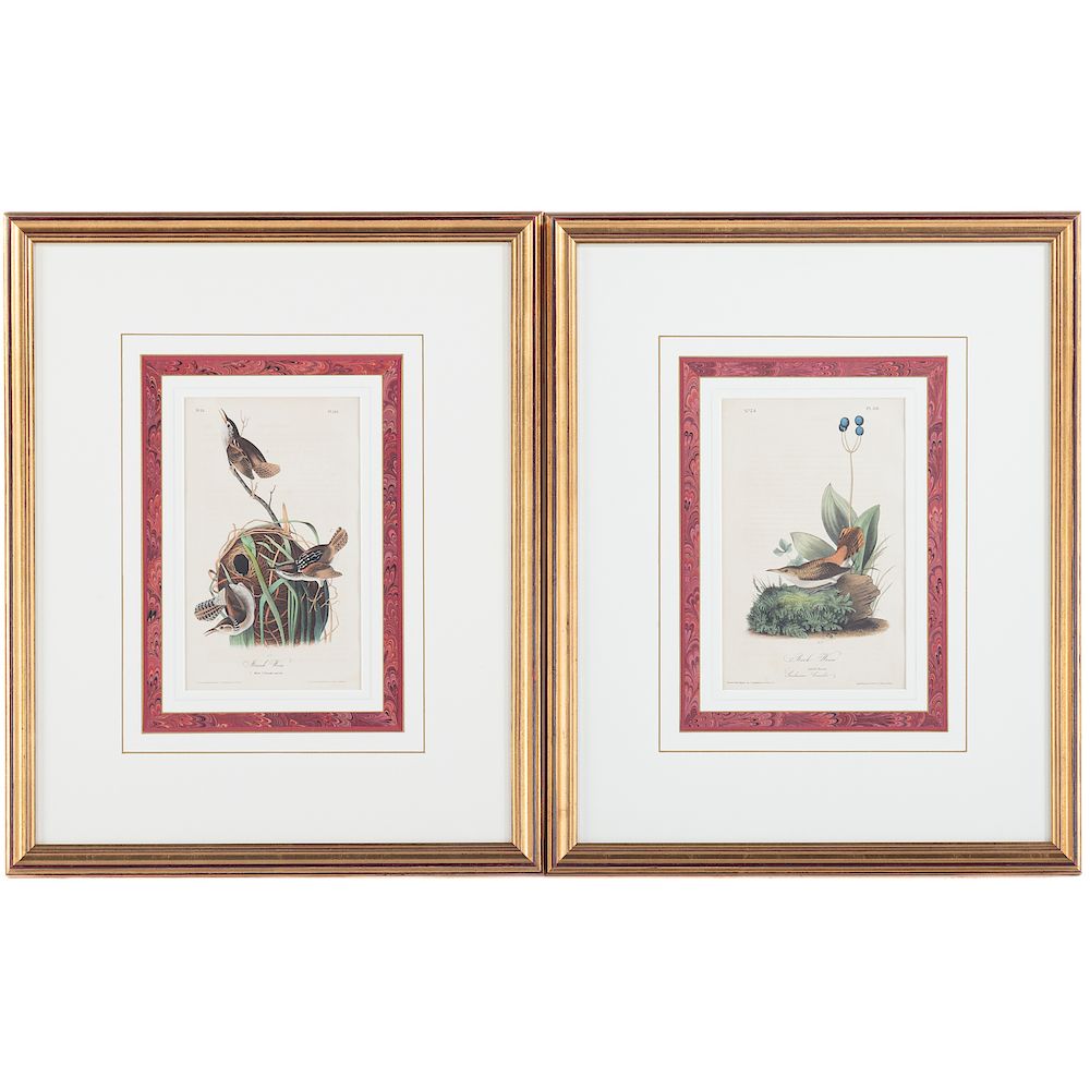 Appraisal: John James Audubon Two Ornithological Prints American - Rock Wren