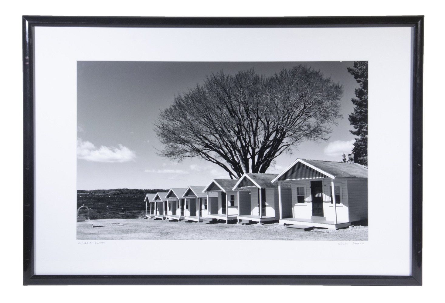 Appraisal: CHESLEY FARRELL CONTEMPORARY MAINE Echoes of Summer black white photograph