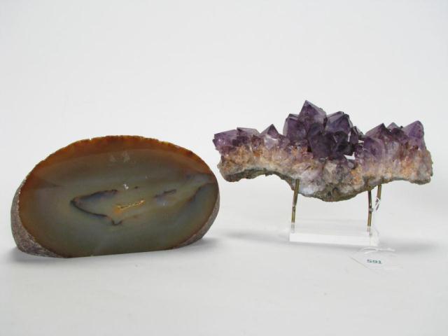 Appraisal: Two Geological Collectibles including a section of petrified wood and