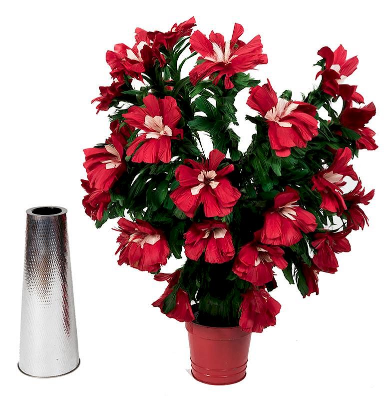 Appraisal: Botania Bloom Botania Bloom Akron H Marshall ca Thirty red