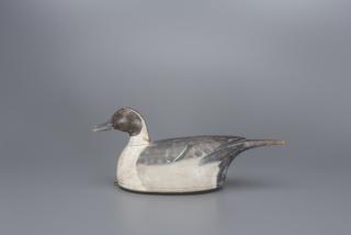 Appraisal: Pintail Drake Pintail Drake Harold Percy Bicknell - Richmond British