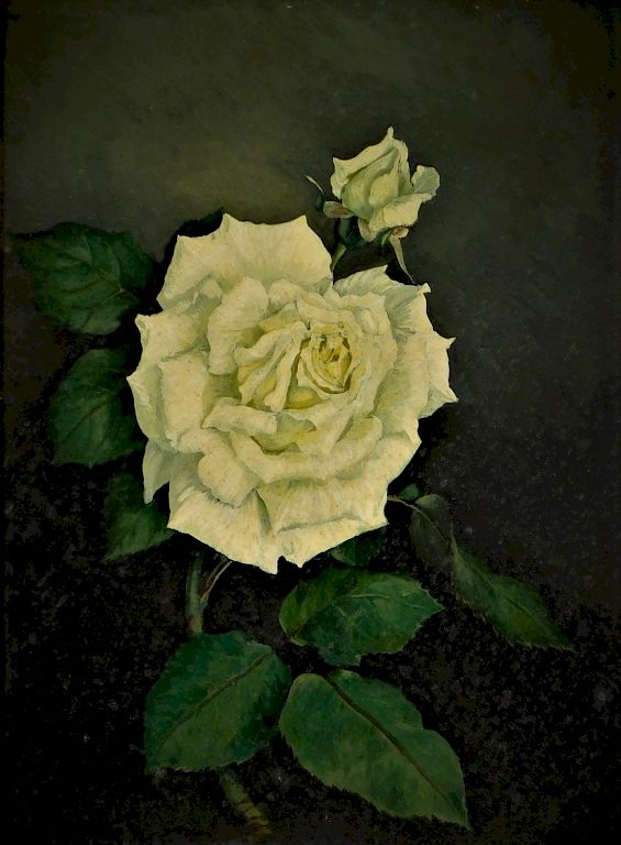 Appraisal: Hermann Murphy O B White Rose Still Life Painting Massachusetts