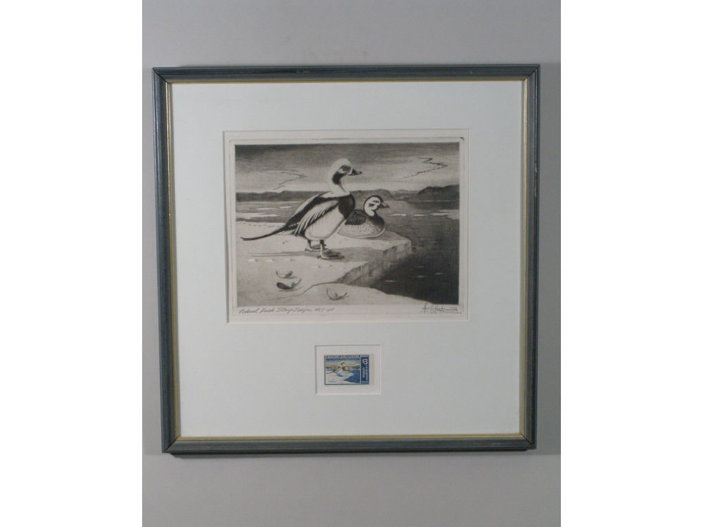 Appraisal: Federal Duck Stamp Print Stamp by L Kouba drypoint and