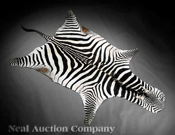 Appraisal: A Semi-Antique Zebra Pelt c with tail and ears length