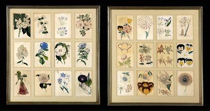 Appraisal: PAIR OF FRAMED BOTANICAL PRINTS Each incorporating lithographs by S