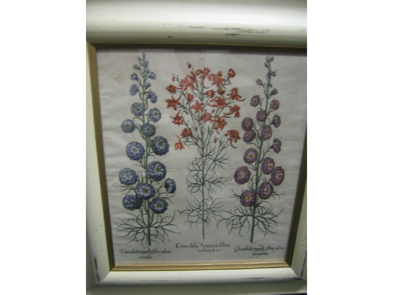 Appraisal: PAIR OF HANDCOLORED ENGRAVINGS OF BOTANICALS By Basil Bessler from