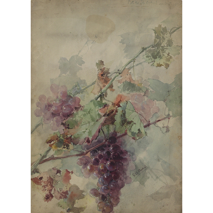 Appraisal: Franz Aulich American th Century Grape Vine c watercolor x