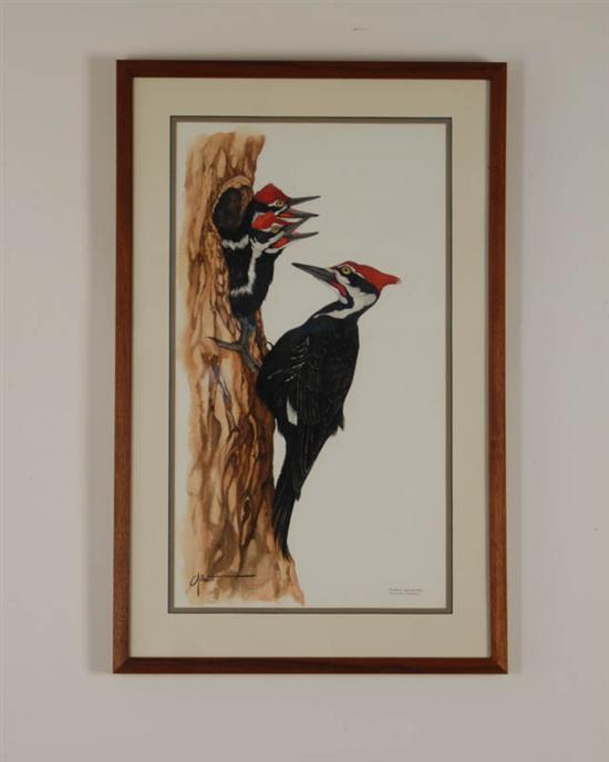 Appraisal: Albert Earl Gilbert b Connecticut Pileated Woodpecker dryocopus pileatus watercolor