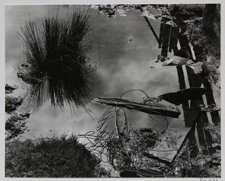 Appraisal: Photograph Edward Weston Edward Weston American - Pond Meyer's Ranch