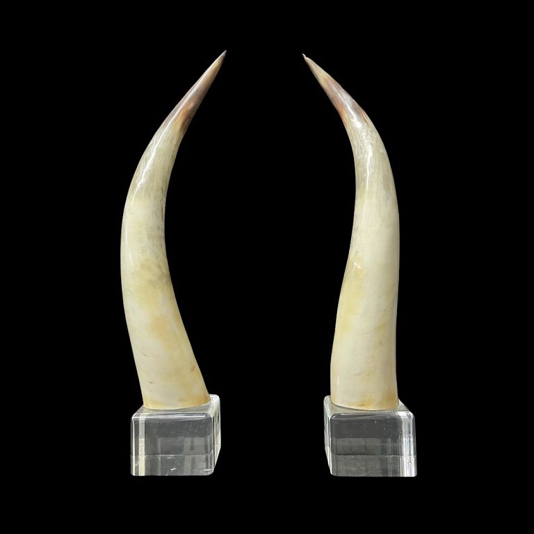 Appraisal: Modern Horns Mounted On Lucite Modern Horns Mounted On Lucite