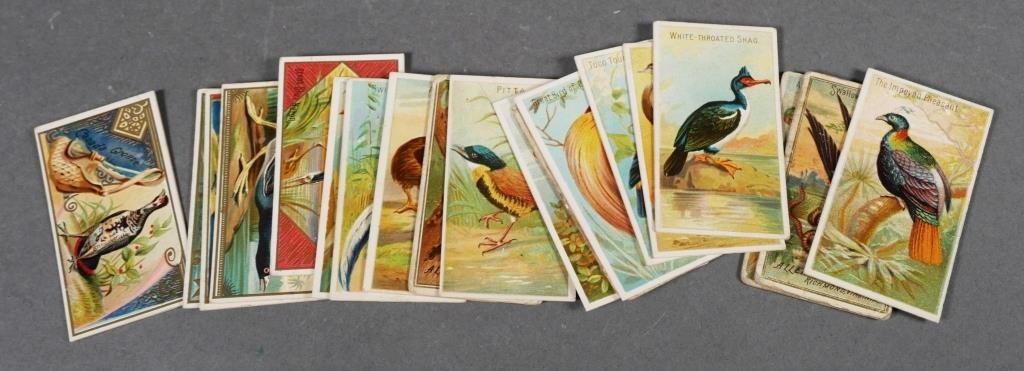 Appraisal: A G cards from the Birds of the Tropics Game