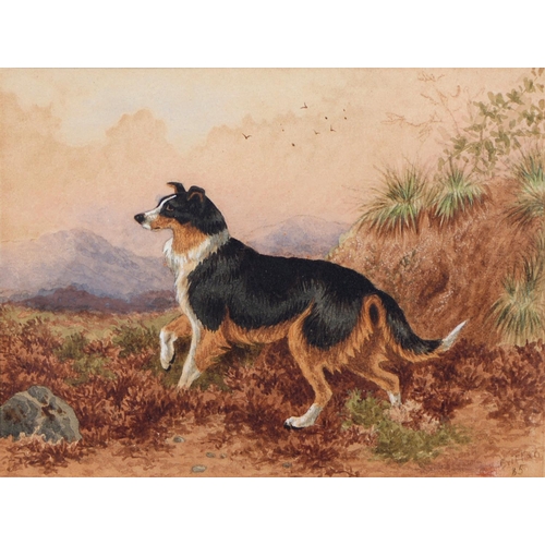 Appraisal: Charles Edward Brittan - - Study of a Hound in