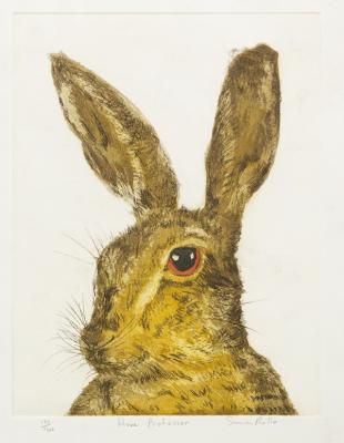 Appraisal: Sonia Rollo British Contemporary Hare Professor signed inscribed and numbered