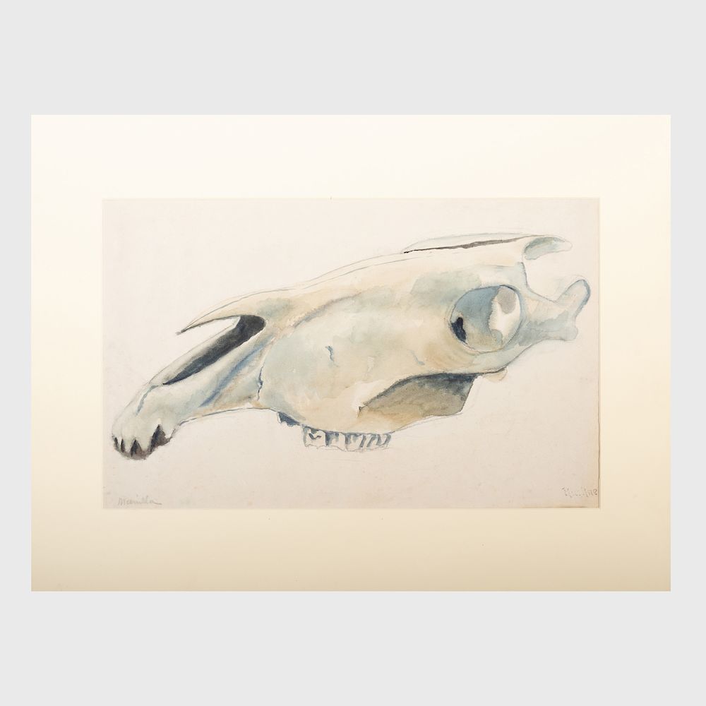 Appraisal: Max Kuehne - Mandible Watercolor on paper indistinctly signed lower