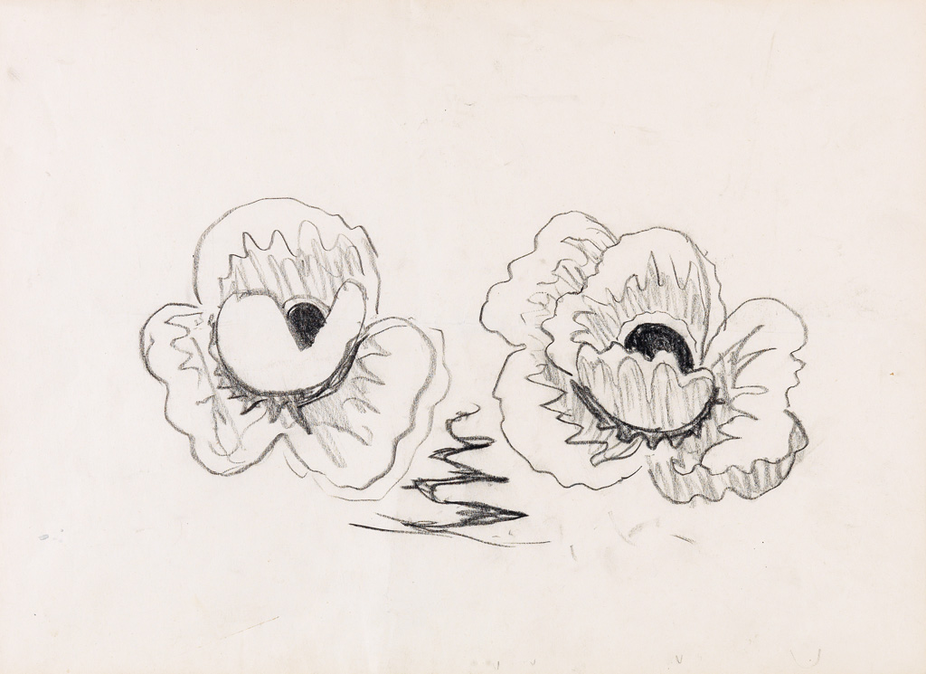 Appraisal: CHARLES BURCHFIELD Buttercups Flower Study Black crayon on cream wove