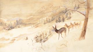 Appraisal: Attributed to CHARLES M RUSSELL - Deer in Winterwatercolor on